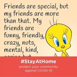 Meet your Posher, Jules